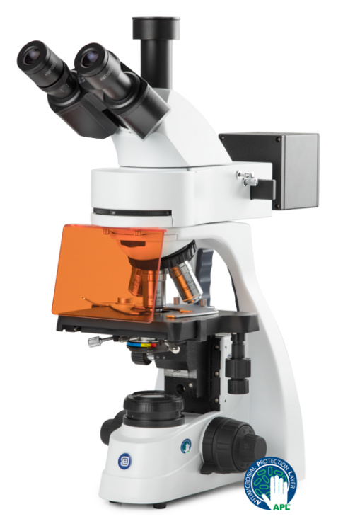 Euromex BS.3153-PLi Biological microscope | HAYU Biomedical – HAYU ...