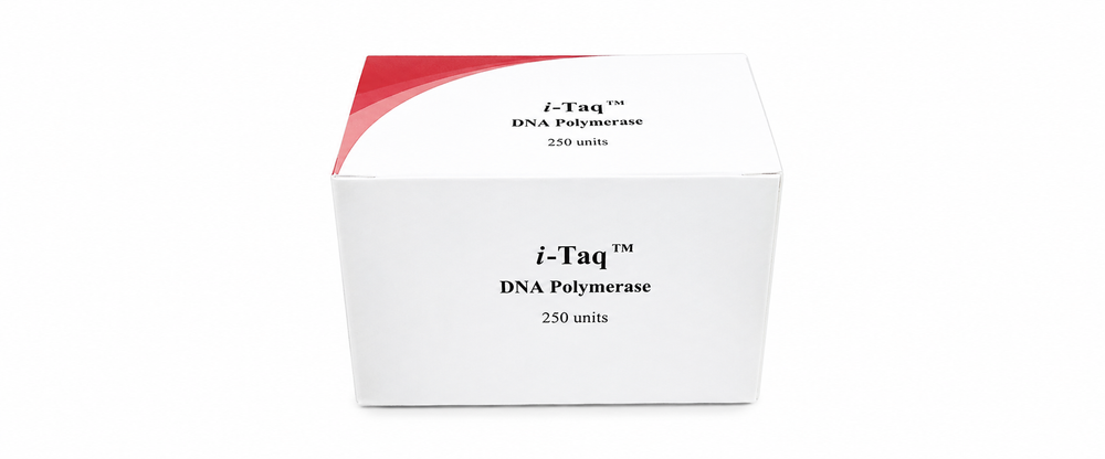 i-Taq™ DNA Polymerase with Buffer and dNTPs