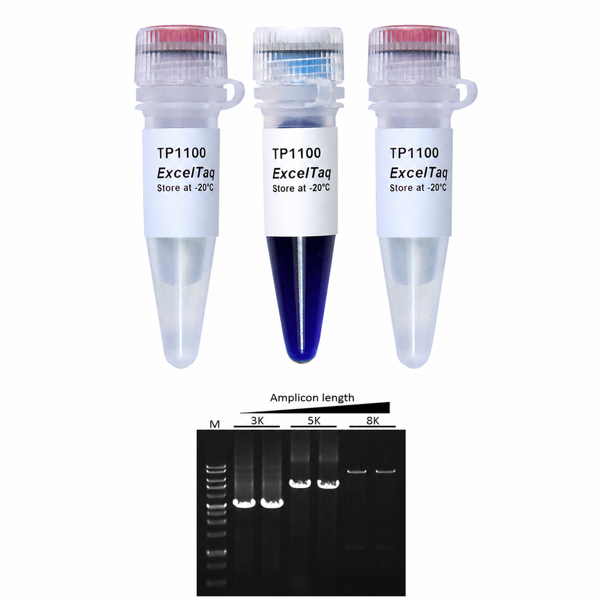 ExcelTaq™ 2X PCR Master Mix with MgSO₄, 100 RXN