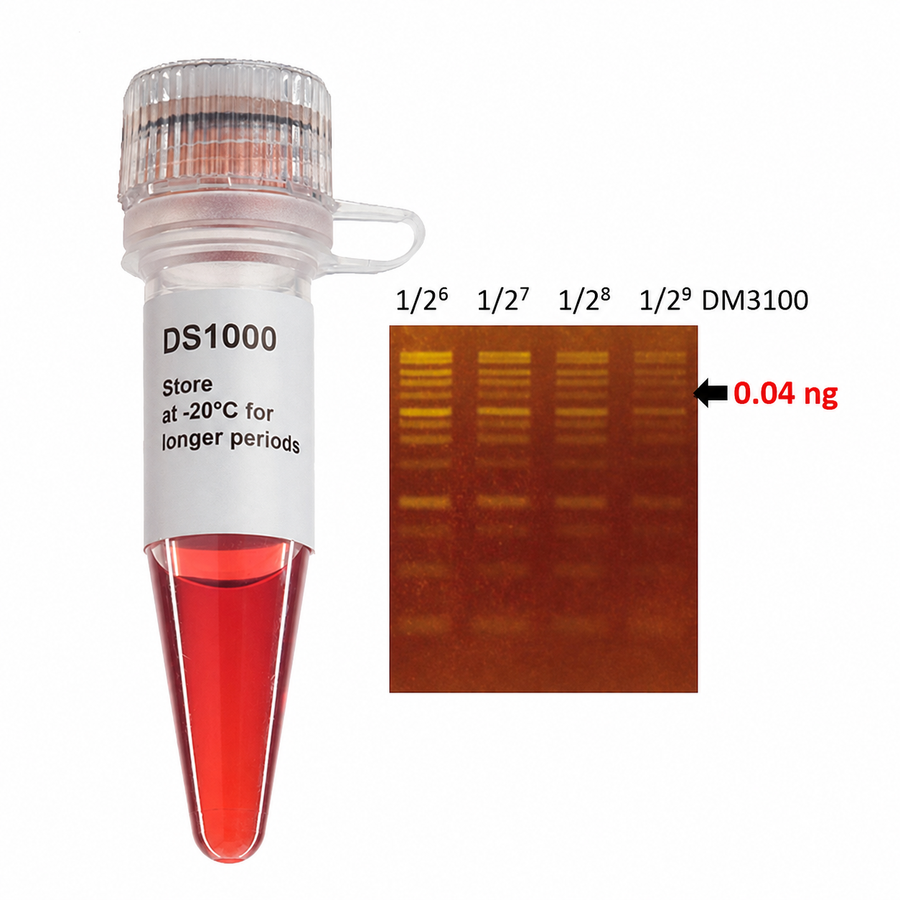 FluoroStain™ DNA Fluorescent Staining Dye, Green, 10,000X, 500 µL