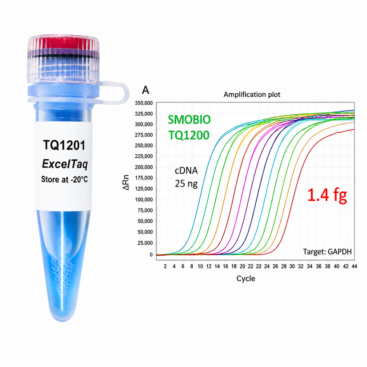 ExcelTaq™ 2X Fast qPCR Master Mix, SYBR, No ROX, 500 RXN