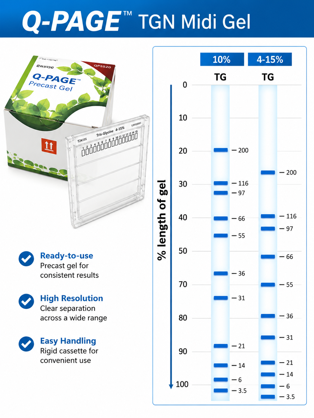 Q-PAGE™ TGN Precast Gel (Midi, 15 Wells, 4–15%), 10 Gels
