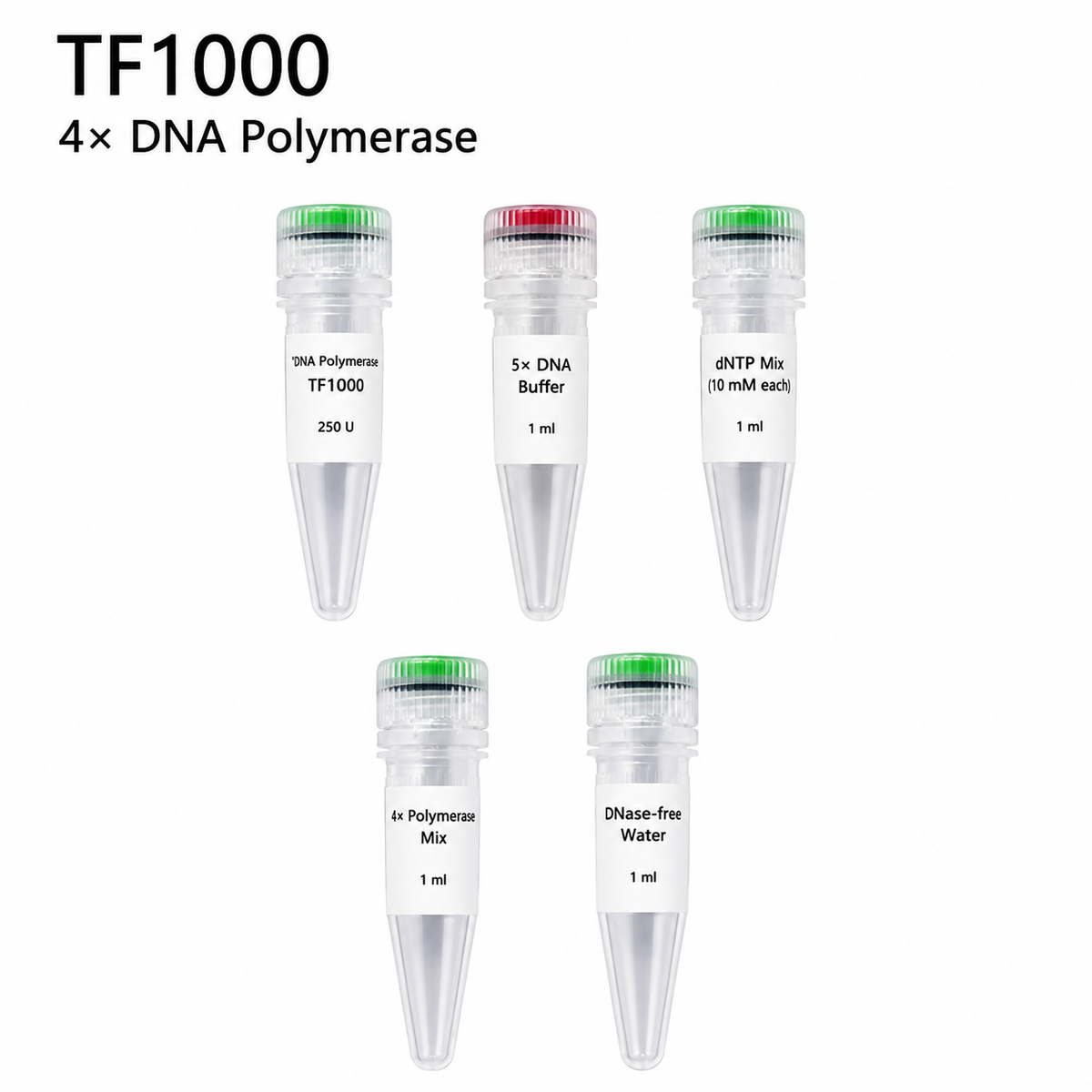 SMO-HiFi™ DNA Polymerase, 1 U/µL, 100 U