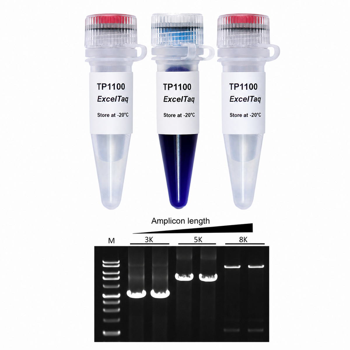 ExcelTaq™ 5X PCR Master Mix, 200 Reactions