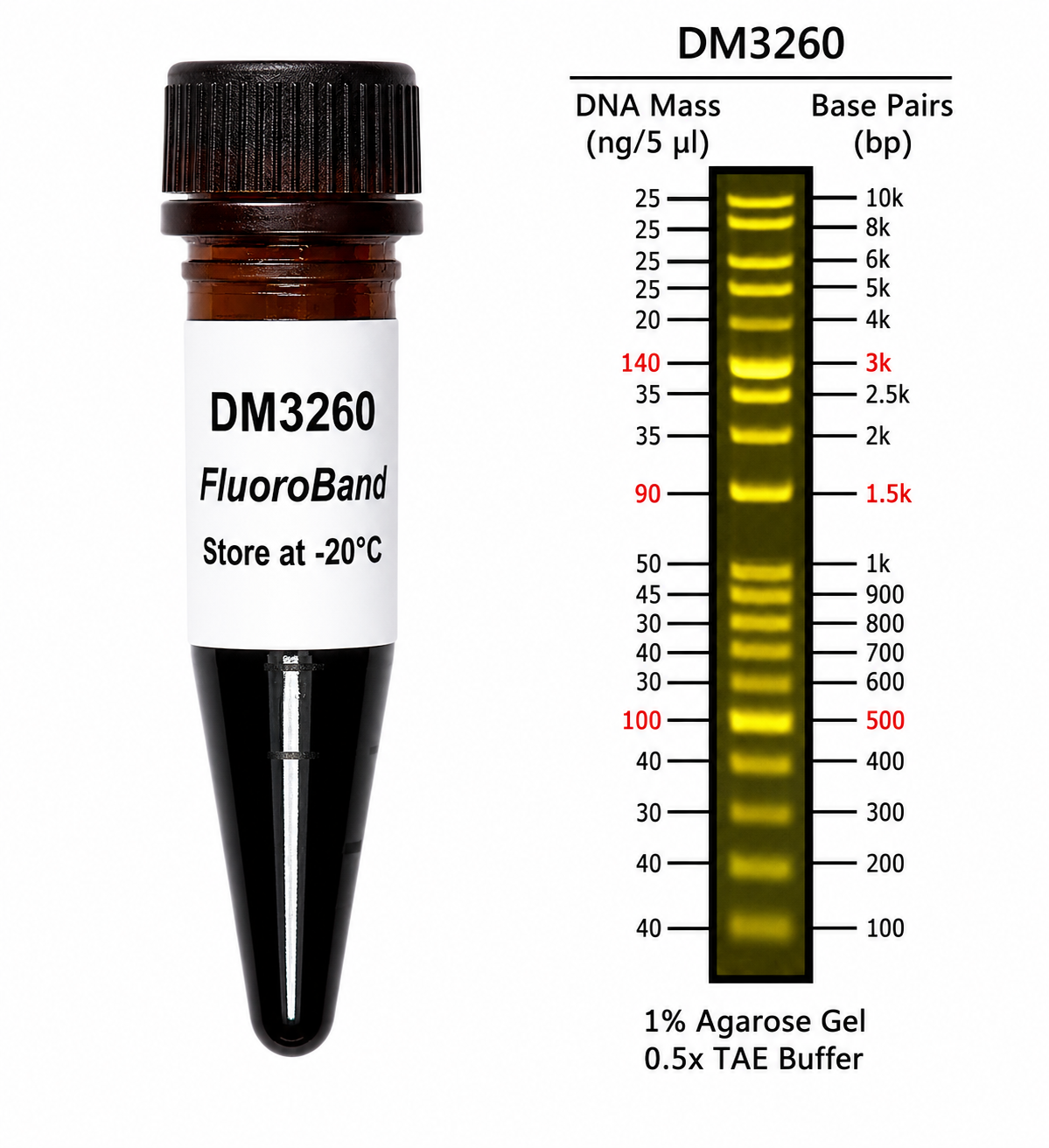 FluoroBand™ 1 kb Plus Fluorescent DNA Ladder, 100 bp–10 kb, 500 µL