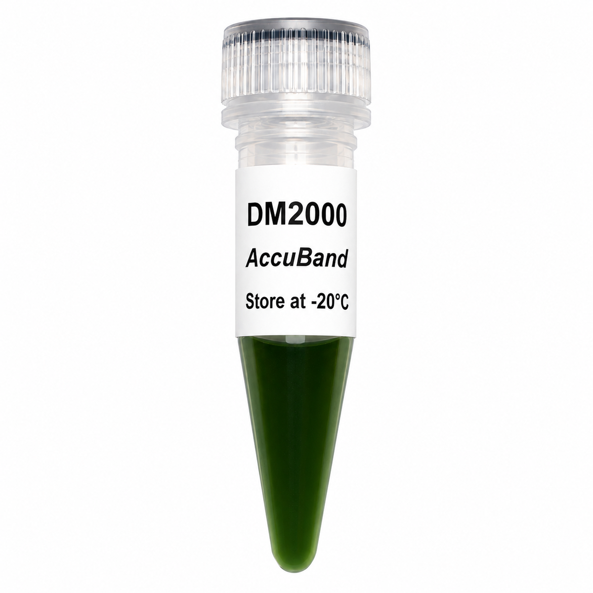 AccuBand™ 100 bp DNA Marker II, 100 bp–2 kb, 500 µL