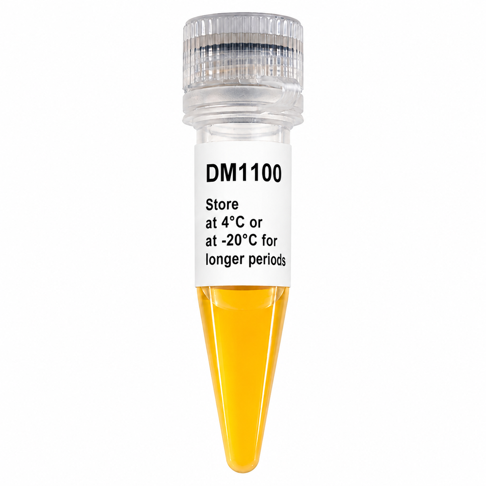 ExcelBand™ 50 bp DNA Ladder, 500 µL