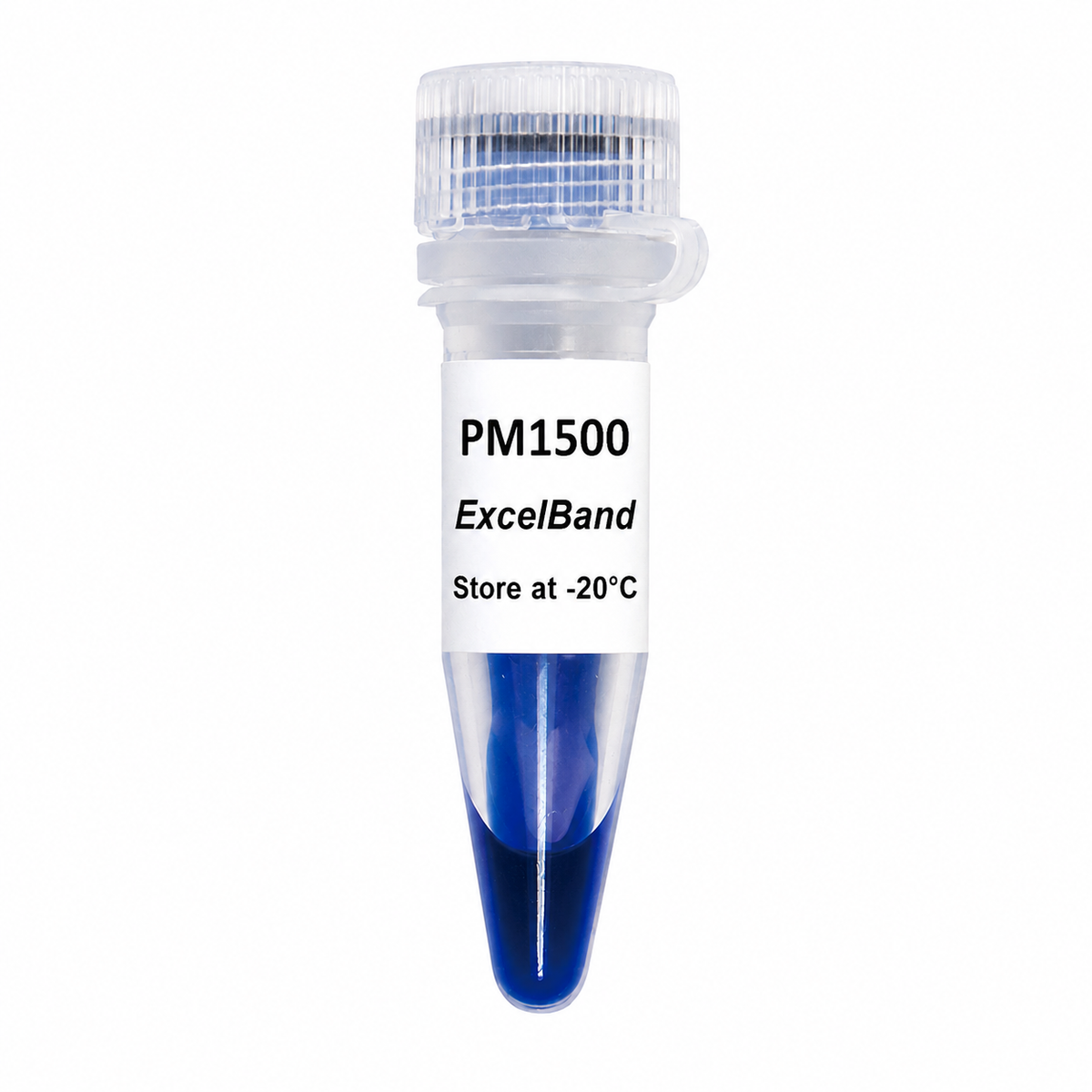 ExcelBand™ All Blue Protein Marker, 9–180 kDa, 2 × 250 µL