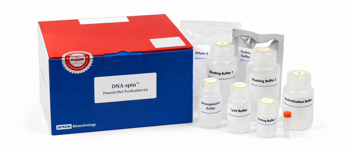 DNA-spin™ Plasmid DNA Purification Kit