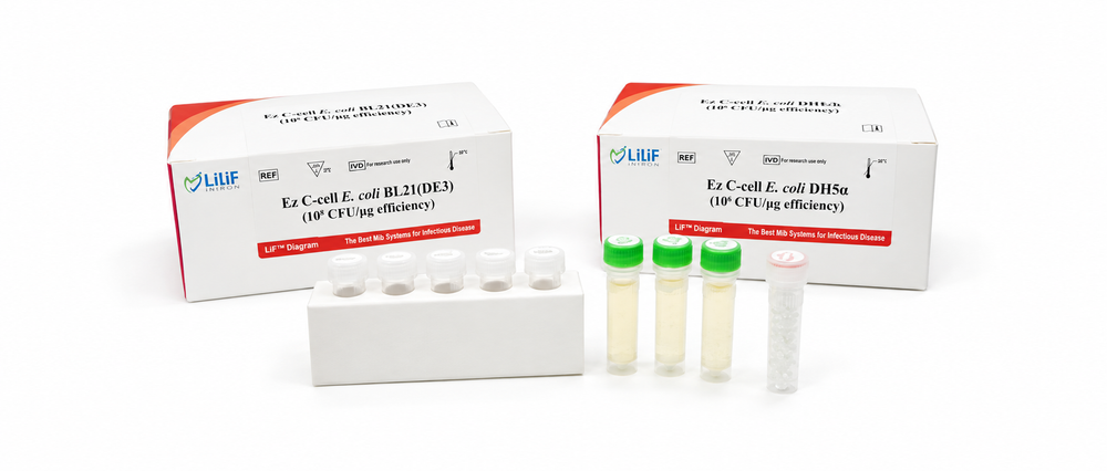 Ez C-cell E. coli BL21(DE3)