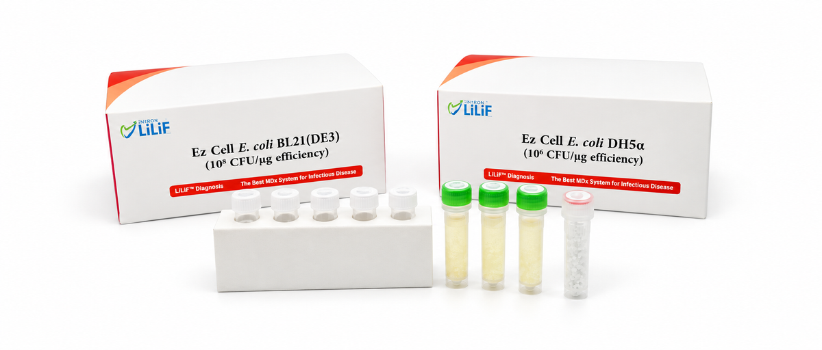 Ez C-cell E. coli DH5α
