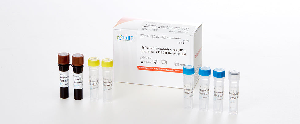 LiliF® IBV Real-time RT-PCR Kit by iNtRON Biotechnology