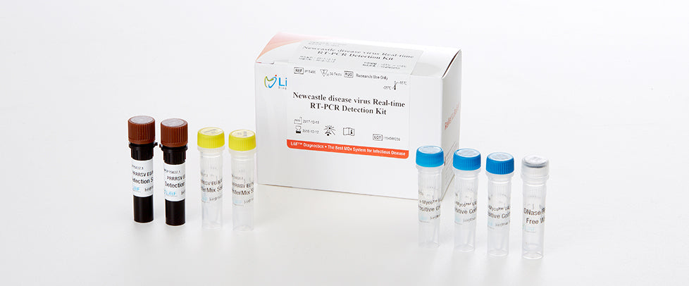 LiliF® NDV Real-time RT-PCR Kit by iNtRON Biotechnology