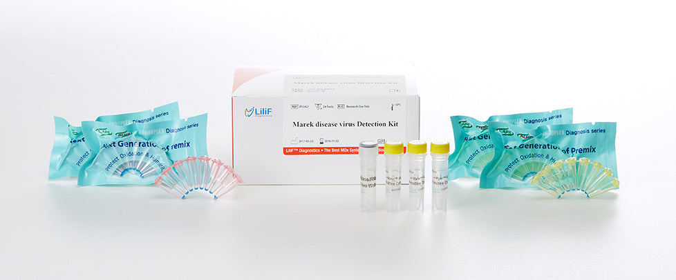 LiliF® MDV Nested PCR Kit by iNtRON Biotechnology