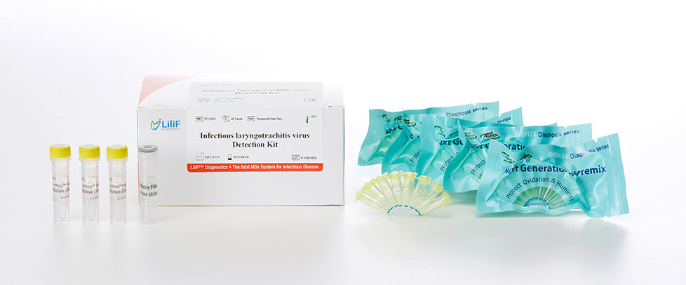 LiliF® ILTV PCR Kit by iNtRON Biotechnology