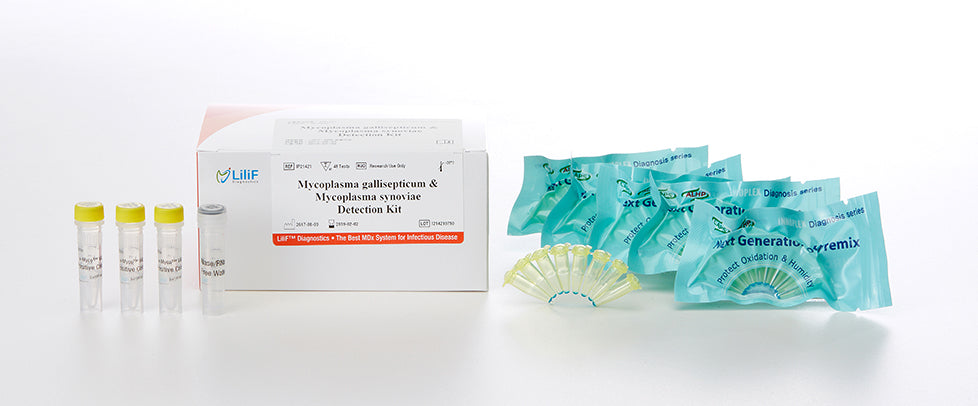 LiliF® MG_MS PCR Kit by iNtRON Biotechnology