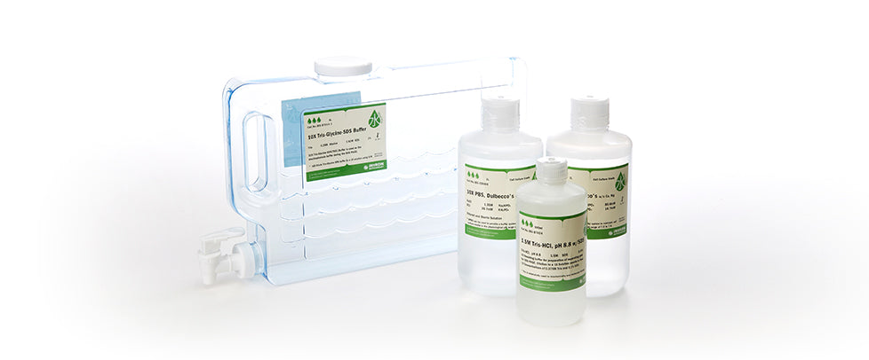 10X Cassein buffer by iNtRON Biotechnology