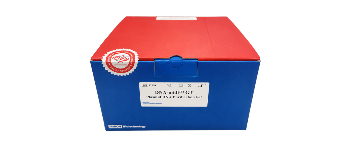 DNA-midi™ GT Plasmid DNA Extraction Kit (Gravity) — iNtRON Biotechnology