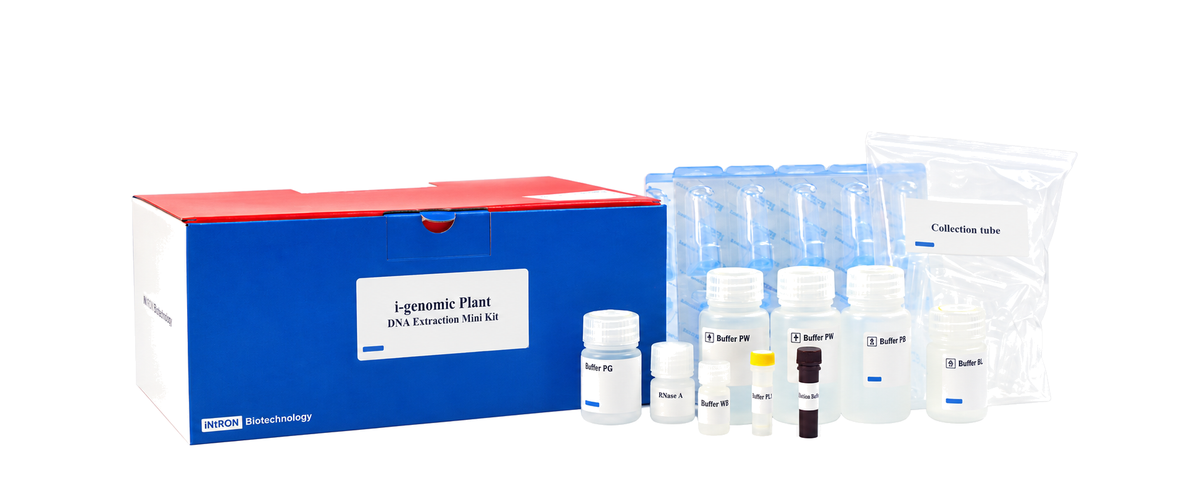 i-genomic Plant DNA Extraction Mini Kit — iNtRON Biotechnology