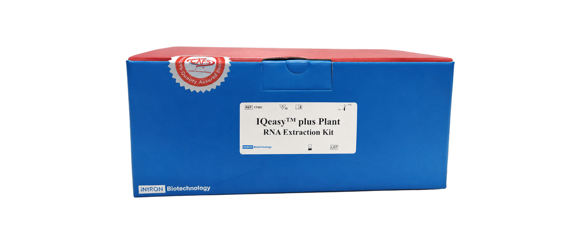IQeasy™ plus Plant RNA Extraction Kit — iNtRON Biotechnology